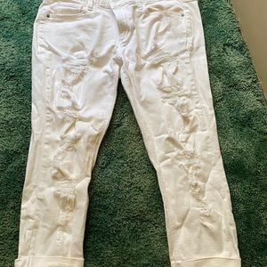 Arizona Capri jeans
